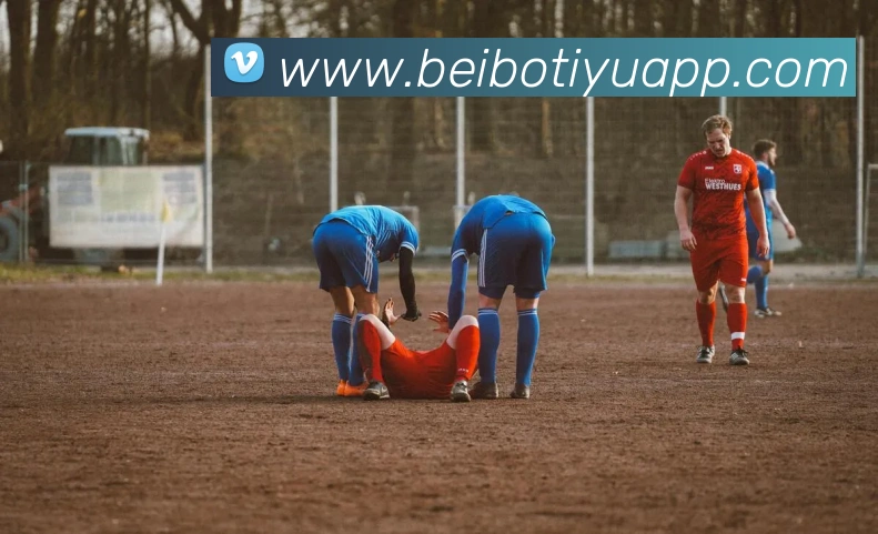 App Interface Preview