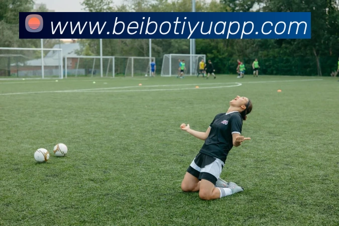 贝博体育APP 封面图